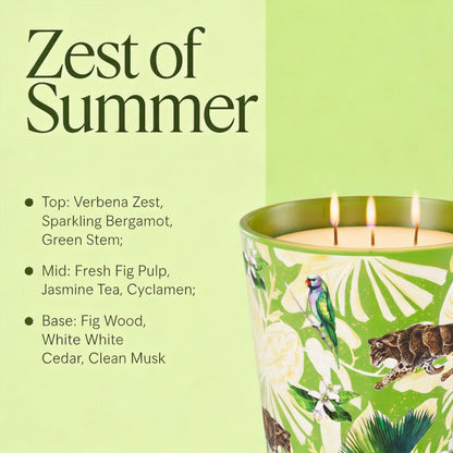 Verbena & Fig Leaf Scented Candle, 30oz Large 3 Wick Soy Candle, 100+ Hours Long Burning, Spa-Quality Aromatherapy for Home & Bathroom, Non-Toxic Luxury Candle Gifts for Housewarming