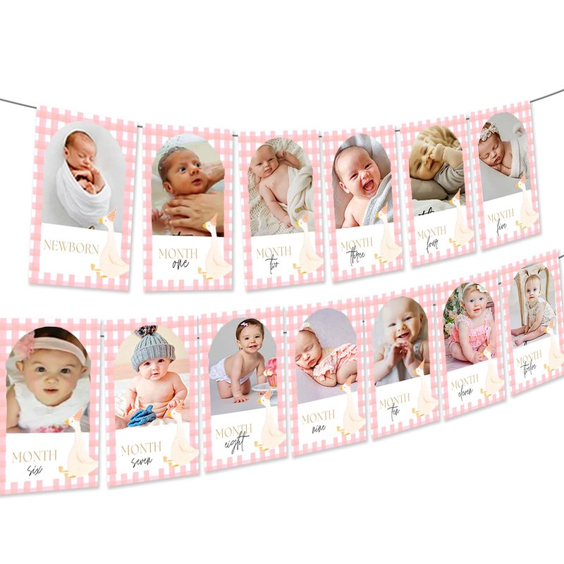 Pink One Silly Goose Photo Banner Silly Goose 1st Birthday Decor Girl for Newborn to 12 Months Picture Banner Goose First Birthday Party Supplies Monthly Milestones Frame