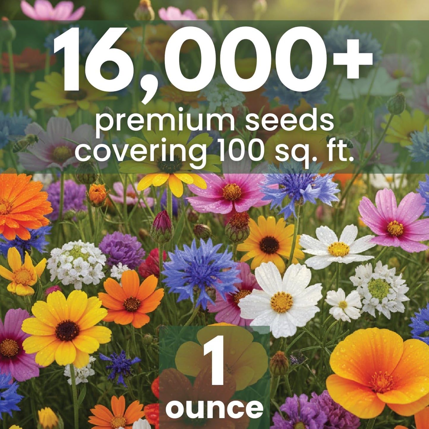 All Annual Quick Blooming Mix - 16,000 Wildflower Seeds for Planting - Large 1 Ounce Packet