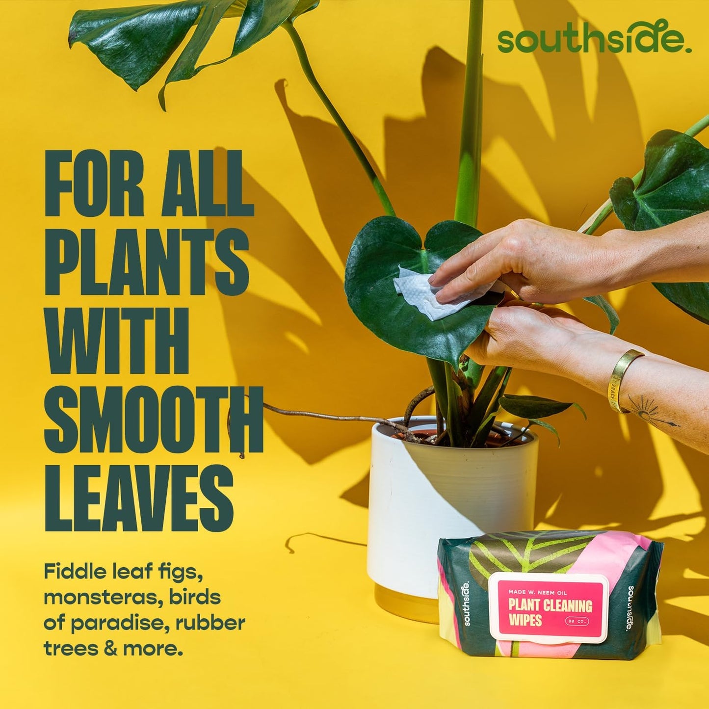 Southside Plants Plant Cleaning Wipes - Gentle, Plant-Based Leaf Wipes for Shiny Leaves | Unscented, Extra Thick - 80 Ct