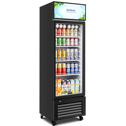 BODEGACOOLER Commercial Merchandiser Refrigerator,10 Cu.Ft Commercial Beverage Cooler with Single Glass Door,Upright Door Display Refrigerator Drink Commercial Bar Cooler with 4 Adjustable Shelves