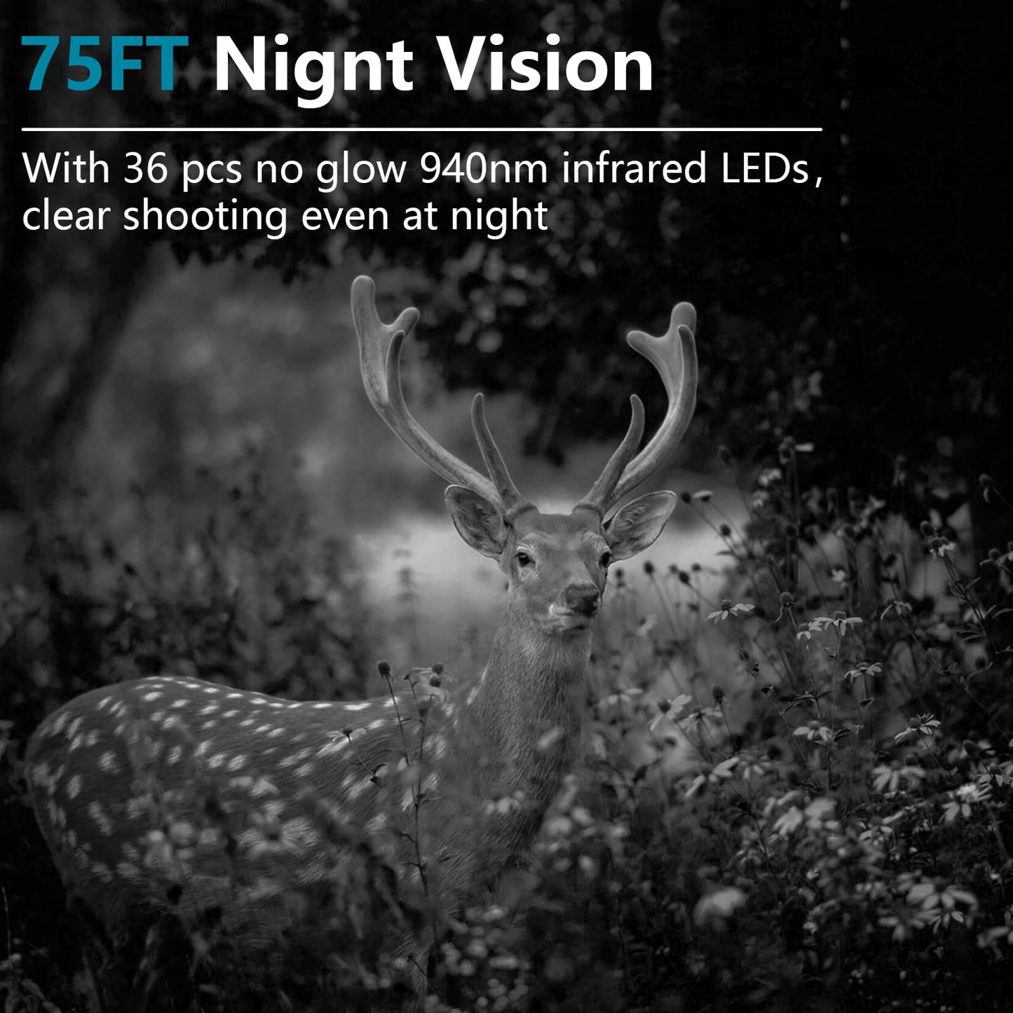 Acuxiaza 2 Pack Trail Camera 64MP 1296P Game Camera with 940nm No Glow Night Vision Fast 0.3s Trigger Speed Motion Activated IP66 Waterproof for Wildlife Cam, Hunting, H.264 MP4 Video