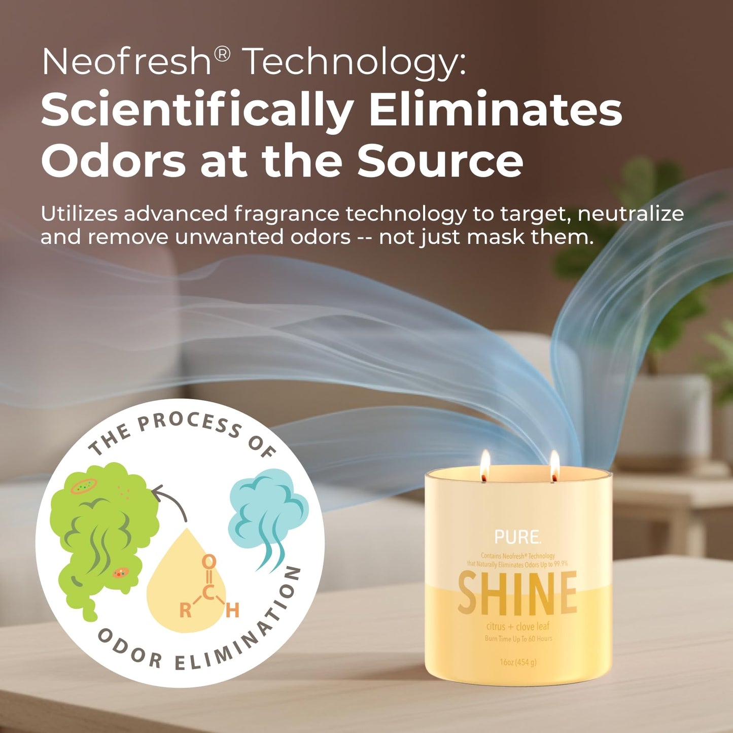 Candle-Lite Pure Citrus & Clove Leaf Odor Eliminating Scented Candles, Neofresh Technology Eliminates 99.9% of Odors, 16 oz 2-Wick Jar, Proudly Poured in The USA, Up to 60 Hours Burn Time