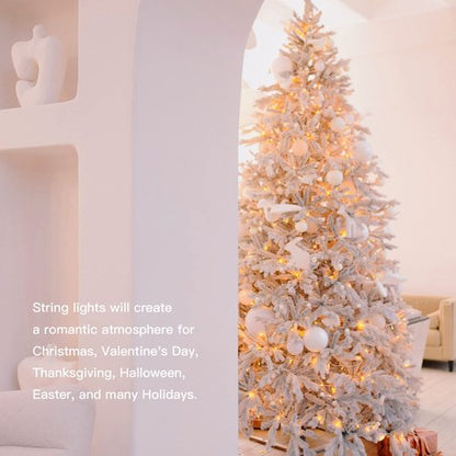 Hopolon 100 LED Christmas Lights Indoor Outdoor,33FT Warm White Twinkle Fairy Light Plug in,8 Modes Waterproof Clear Wire String Lights for Bedroom Classroom Xmas Tree Wedding Party,100 LED,Warm White
