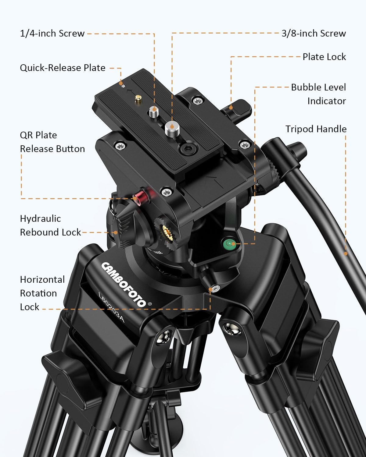 CAMBOFOTO 74" Video-Tripod-with-Fluild-Head, Professional Aluminum Heavy Duty Film Tripod Stand for Canon Nikon DSLR/SLR Camera Camcorder Telescope Bnoculars (Weight 9.1 lbs, Max Load 20 lbs)