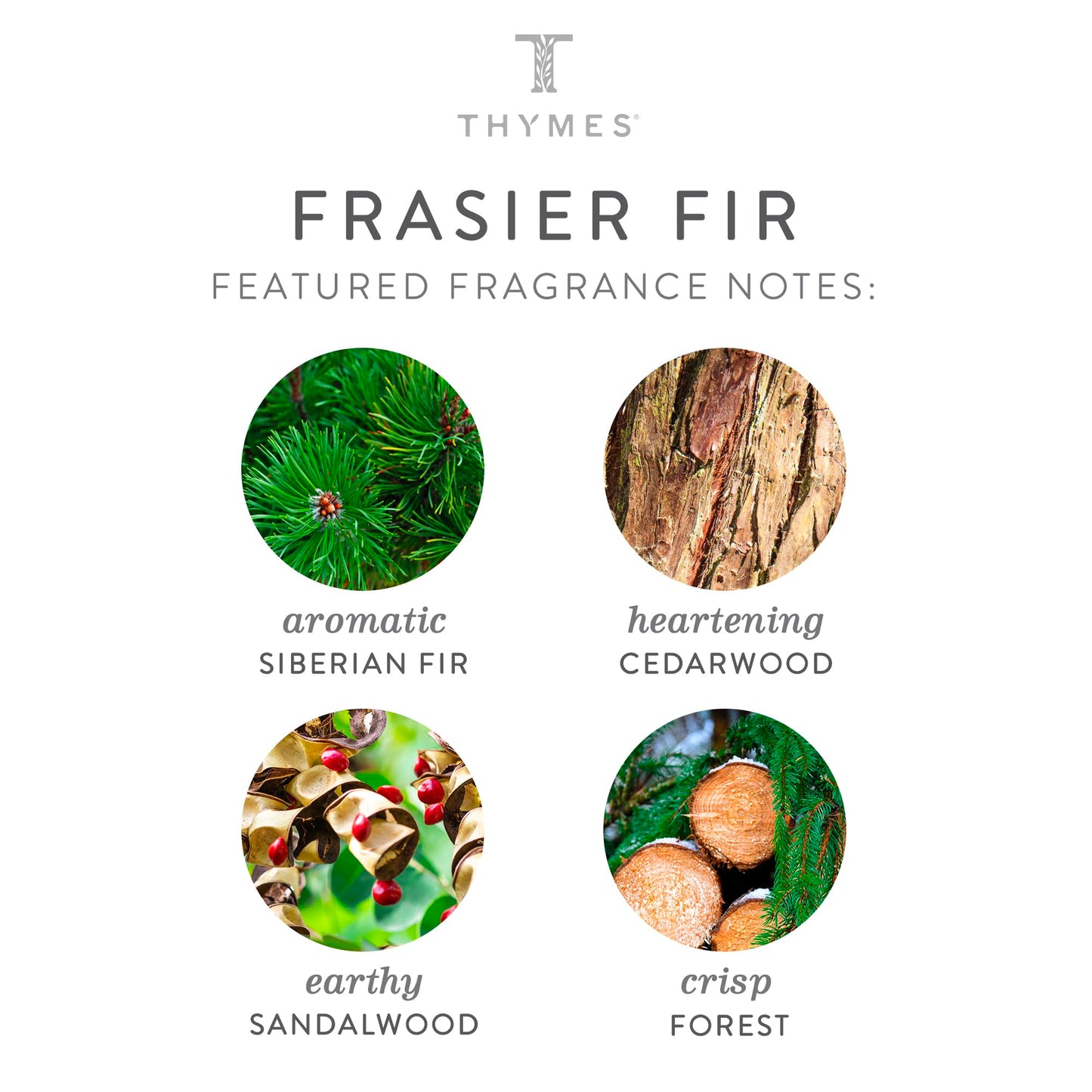 Thymes Frasier Fir Candles - Statement Collection - Silver with Pine Needle Design - Scented Candles for Home Decor - Notes of Siberian Fir Needles, Cedarwood & Sandalwood - Petite (5 oz)