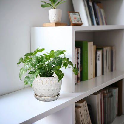 G EPGardening Ceramic Plant Pot - Succulent Pots with Drainage Hole and Saucer 5 Inch Planter for Indoor Plants Outdoor Decorative Round Flower Pot White