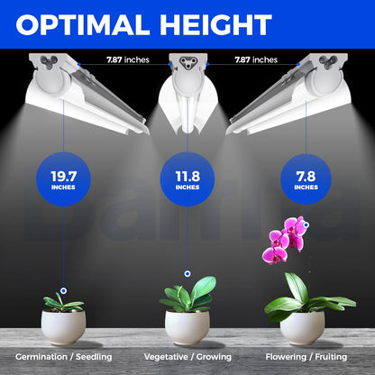 Barrina T8 Grow Light Strip, 5000K Full Spectrum, V-Shape with Reflector, 1FT, 60W, Linkable, White, Model QC12, 4
