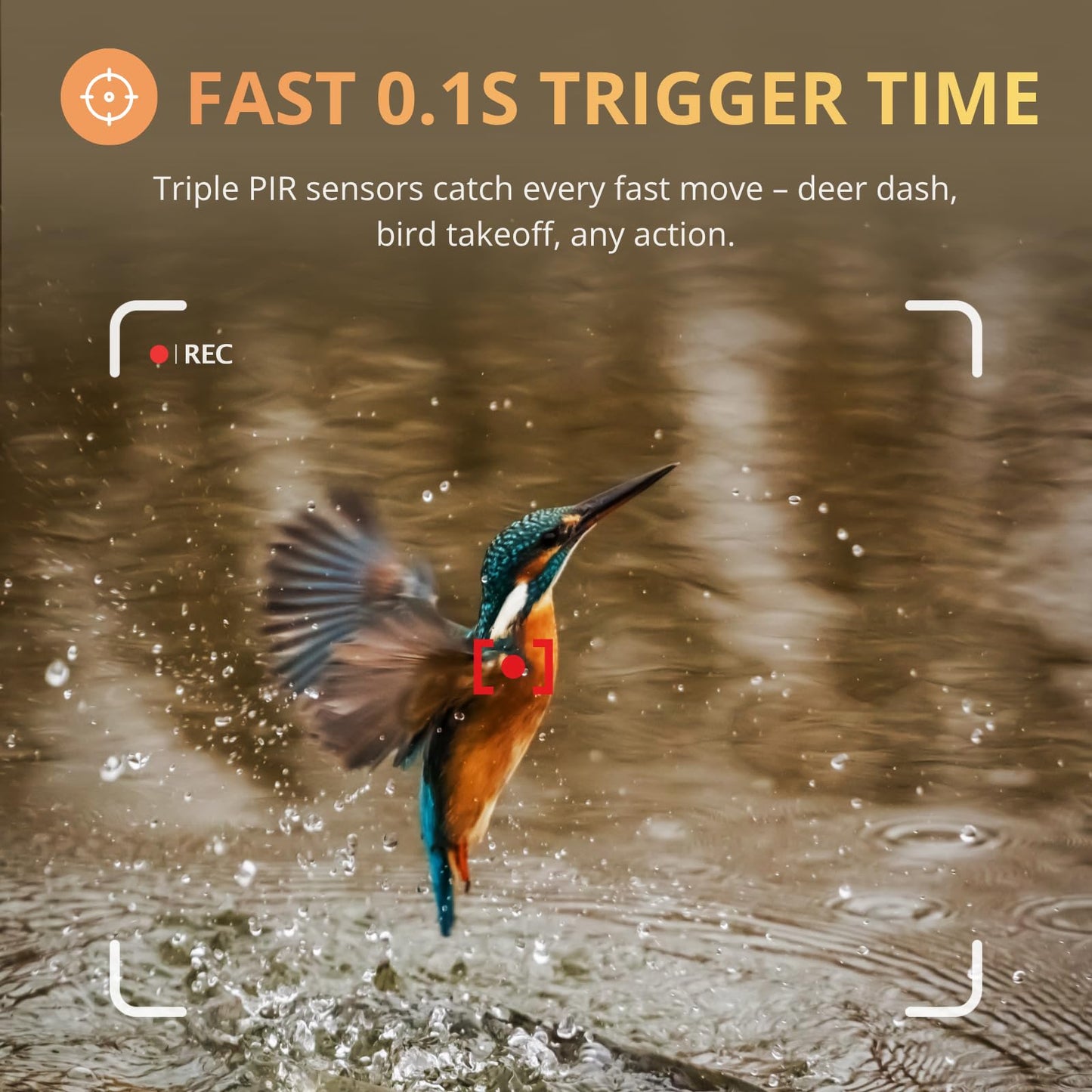 BLAZEVIDEO 2-Pack WiFi Trail Camera 64MP 1296P with Audio, 3 PIR Motion Activated 0.1s Trigger & 120° Wide-Angle Detection, 100ft 940nm No-Glow Night Vision, IP66 Waterproof Game Cam for Wildlife