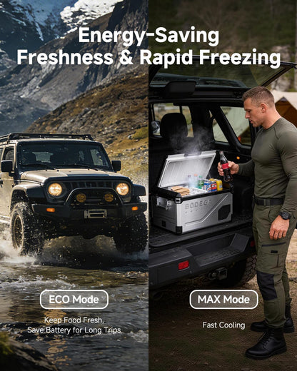BODEGA Portable 12V Car Refrigerator, 47QT Stainless Steel Fridge with Removable Divider for Dual Zone MAX/ECO Modes & Battery Protection, Electric Cooler for RV, Truck, Camping
