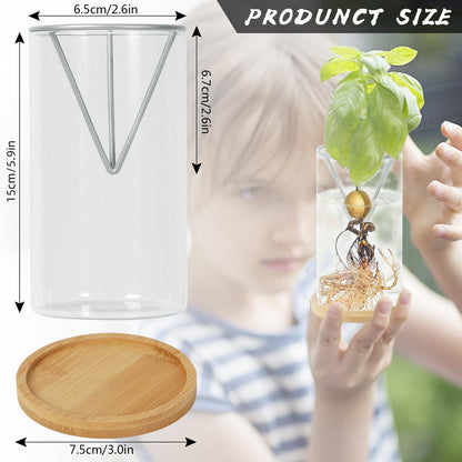 2 Pack Avocado Tree Growing Kits, Avocado Growing Vase Wooden Base Avocado Seed Starter Vase Glass Plant Pot Easy Seed Sprout Starter Gift for Women Gardening Lovers Home Office Table Decoration