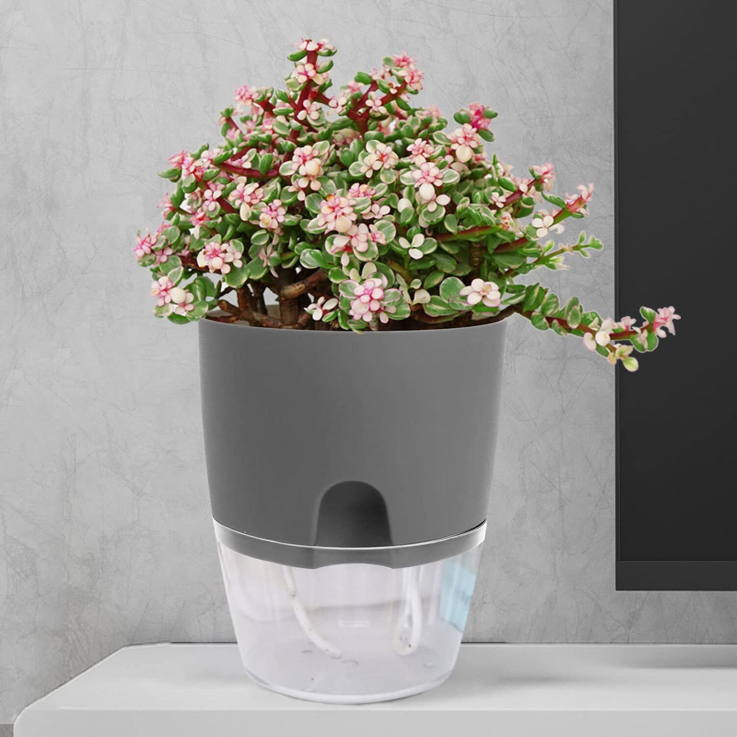 iDattel Herb Pot Kitchen Set Window Sill Self-Watering Set of 3 Herb Garden for The Kitchen, 18.2 x 11 x 15.3 cm, for Fresh Kitchen Herbs, Grey