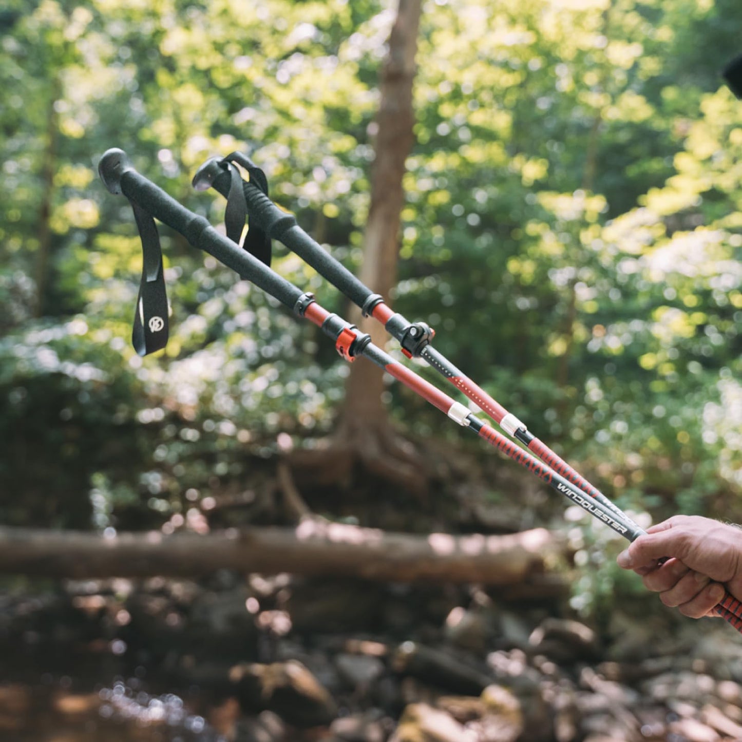 WindQuester Ultralight Carbon Fiber Trekking Poles – 198g Adjustable Folding Hiking Poles for Backpacking (110–130cm), Thru-Hiking, Trail Running – Strider Z Compact Collapsible Hiking Pole