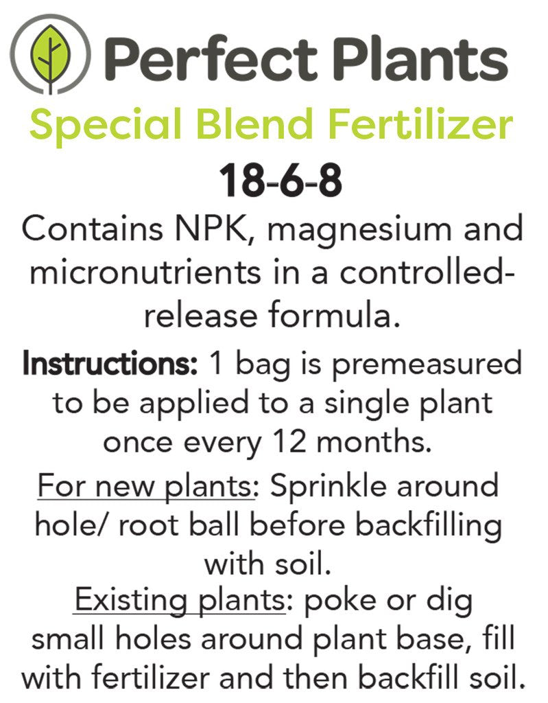 Mrs. Schiller's Delight Viburnum 1 Gallon