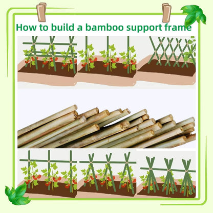 Bamboo Stakes - Eco-Friendly Plant Support Poles for Tomatoes, Beans & Flowers | 50-Pack, 4.8FT Height