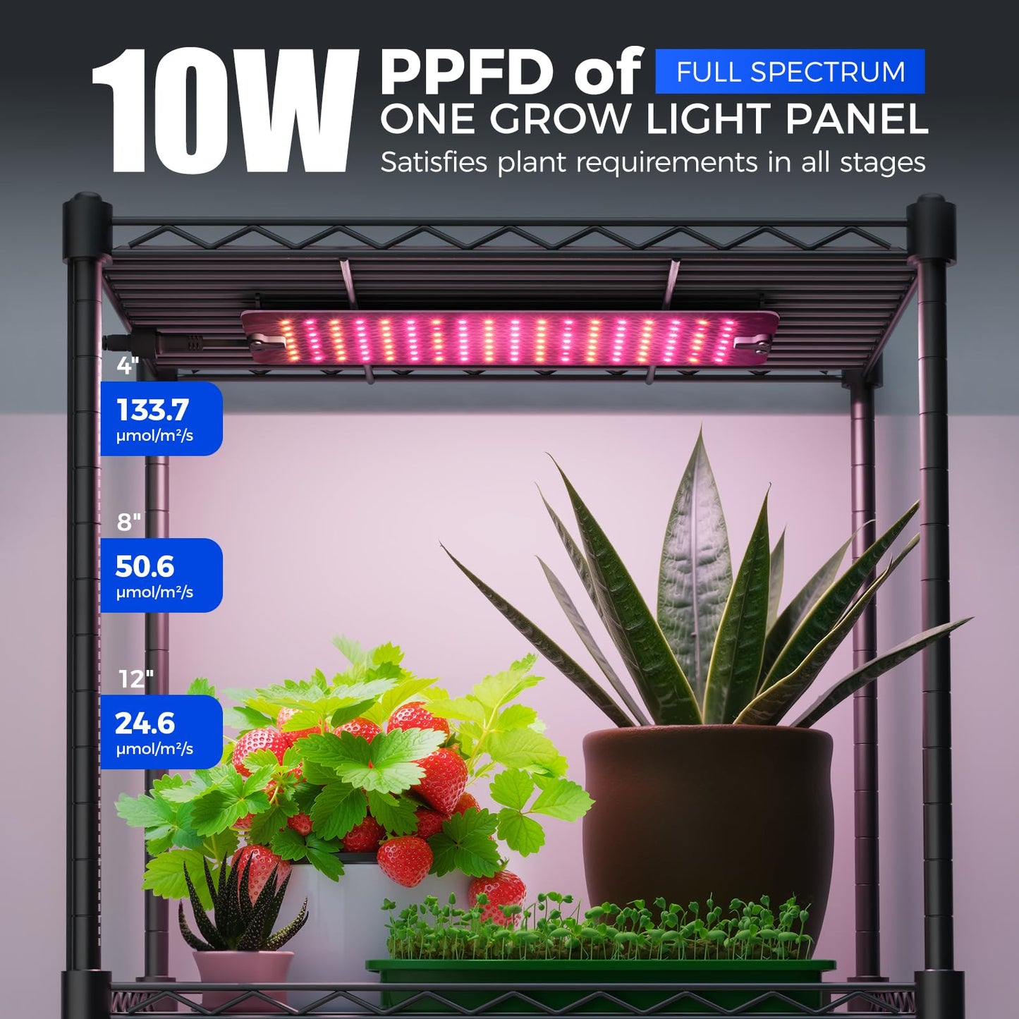 CX83Z Indoor Greenhouse with Grow Light, 4-Tier Corner Plant Stand, 30W Full Spectrum Growing Light Panels, Mini Greenhouse with Tent for Seed Starting, 3/6/12h Timer, 15.7 x 11.8 x 59.1IN