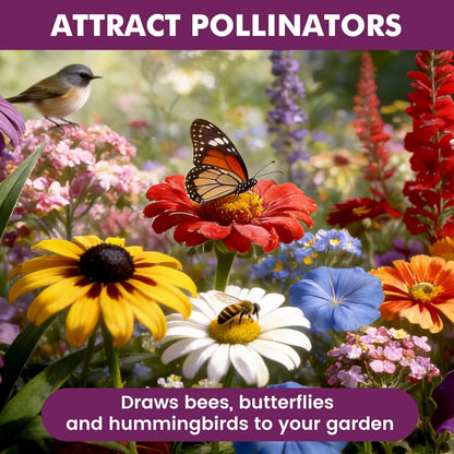 Wildflower Seeds | 10,000+ Bulk Butterfly & Hummingbird Mix | 21 Variety Heirloom Flower Seeds