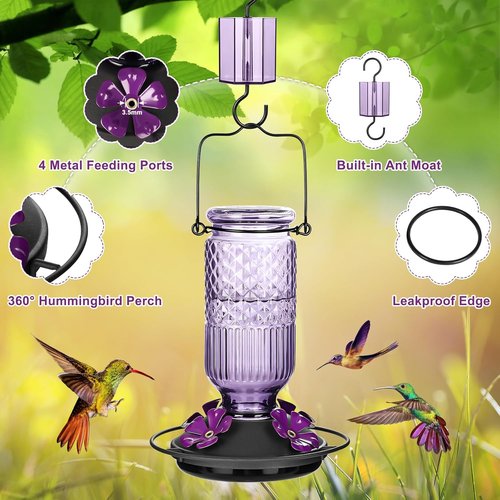FEED GARDEN Glass Hummingbird Feeder - 16 oz Outdoor Feeder with Bee-Proof Ports & Ant Moat, Purple