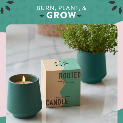 Modern Sprout - 2 in 1 Tonka Bean Scented & Soy Candle with Seeds that Grows into Thyme Plant - 6 oz w/ 42 hr Burn time in Matte Glaze Ceramic Vessel Ideal for Indoor Herb Garden