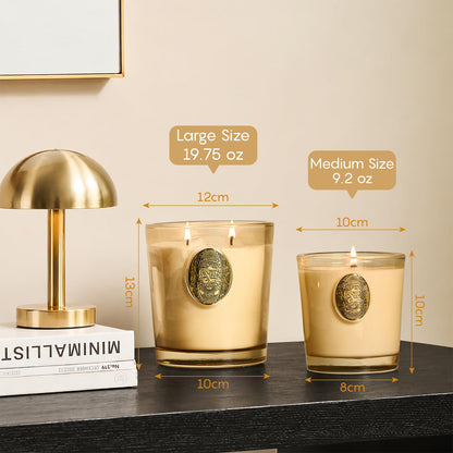 M&SENSE Natural Soy Candle | Cheer Champagne & Gold | 9.2 oz, 50H Burn Time | Luxury Scented Candle for Relaxation, Gifting, Home Décor | Ideal for Bedroom, Office, Party Ambiance
