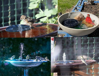 Skiennix Solar Fountain - Solar Powered Bird Bath Pump with 4 Nozzles | 1.4W Outdoor Water Feature for Garden & Pond