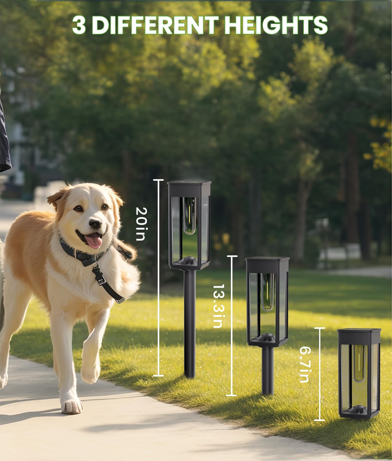 BITPOTT Solar Pathway Lights Outdoor,Bright Solar Lights for Outside, Waterproof Auto On/Off Garden Lights Solar Powered Landscape Lights for Yard Walkway Driveway Lawn (Warm White, 12 Pack)