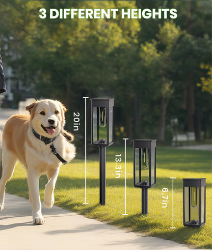 BITPOTT Solar Pathway Lights Outdoor,Bright Solar Lights for Outside, Waterproof Auto On/Off Garden Lights Solar Powered Landscape Lights for Yard Walkway Driveway Lawn (Warm White, 12 Pack)