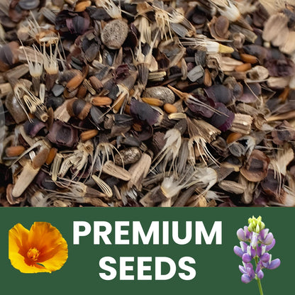 All Annual Quick Blooming Mix - 16,000 Wildflower Seeds for Planting - Large 1 Ounce Packet