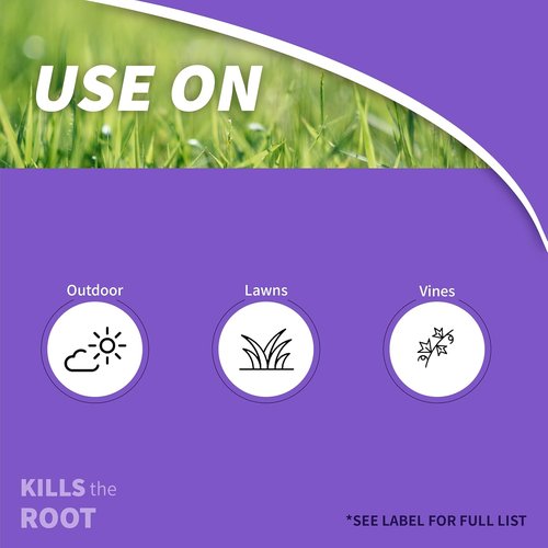 Bonide Poison Oak & Ivy Killer - Fast-Acting 32 oz Ready-to-Use Spray for Effective Home Gardening