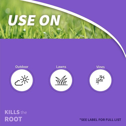 Bonide Poison Oak & Ivy Killer - Fast-Acting 32 oz Ready-to-Use Spray for Effective Home Gardening