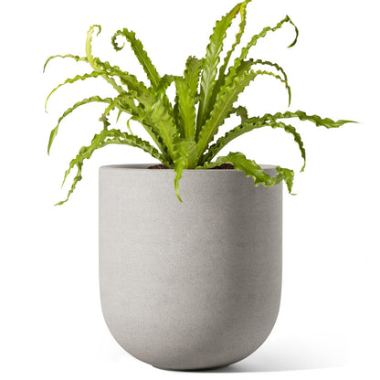 LE TAUCI 6 Inch Plant Pot, Ceramic Planter for Herbs & Small Houseplants, Tabletop Indoor Pot for Shelf, Desk and Windowsill, Small Planter with Drainage Hole & Rubber Plug, Neutral Gray