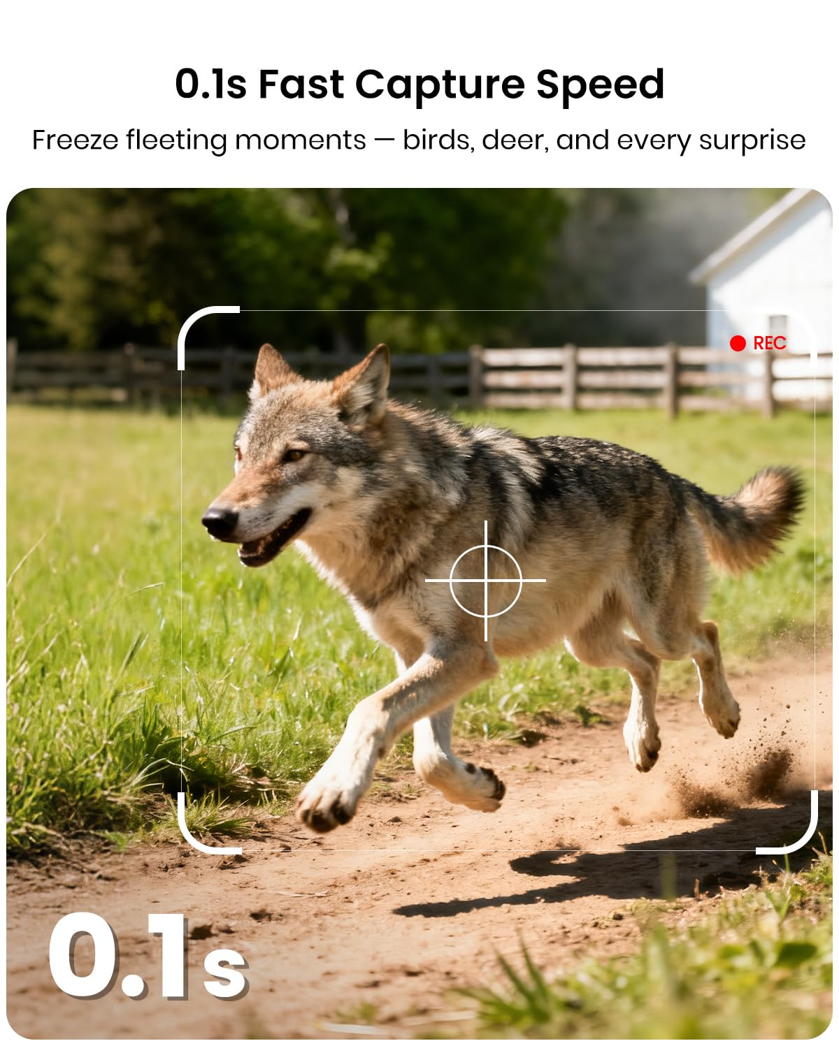Misstech 4K UHD Solar Trail Camera for Game & Wildlife Monitoring - 0.1s Fast Activation to Record Animals, 64MP/4K Clear Night Vision, No Monthly Fee, App Control, IP66 Waterproof, Local Storage
