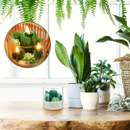 Tondiamo Succulent Cactus Candles Gift,3.15 Inch Scented Decorative Terrarium Plant Candles Votive for House Warming Wedding Baby Shower Spa Home Decoration Teacher Appreciation Mothers Gifts