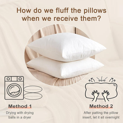 Organic Feather Down Lumbar Pillow Inserts - 100% Cotton Shell, Set of 2 (14x22 Inch) | Perfect for Couch, Sofa, and Bed