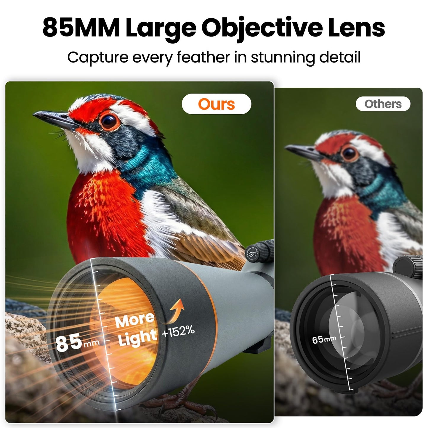 Three Triping Spotting Scope with Tripod & Phone Adapter – 25-75x85 Dual Focus Spotter Scope for Bird Watching, BAK4 Prism & FMC Lens, Waterproof & Fogproof with Carry Bag for Outdoor Observation