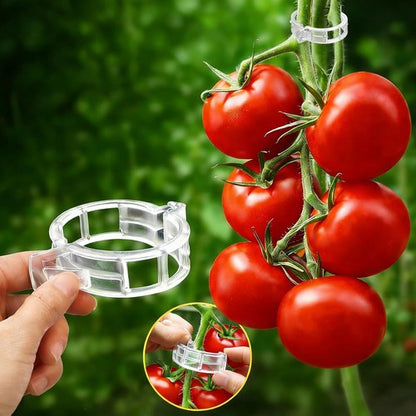 Feed Garden 120 Pcs Plant Clips - Reusable Supports for Climbing Plants, Tomatoes, Cucumbers & More