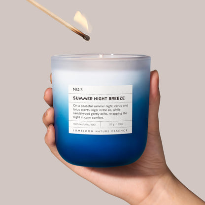LUMELOOM Summer Night Breeze Scented Candle, 11oz Aromatherapy Soy Wax Candles for Home Scented, Fruits, Flower, Wood Scent, Long Burning Time, Gifts for Women, Men, Friend, Relaxation & Stress Relief