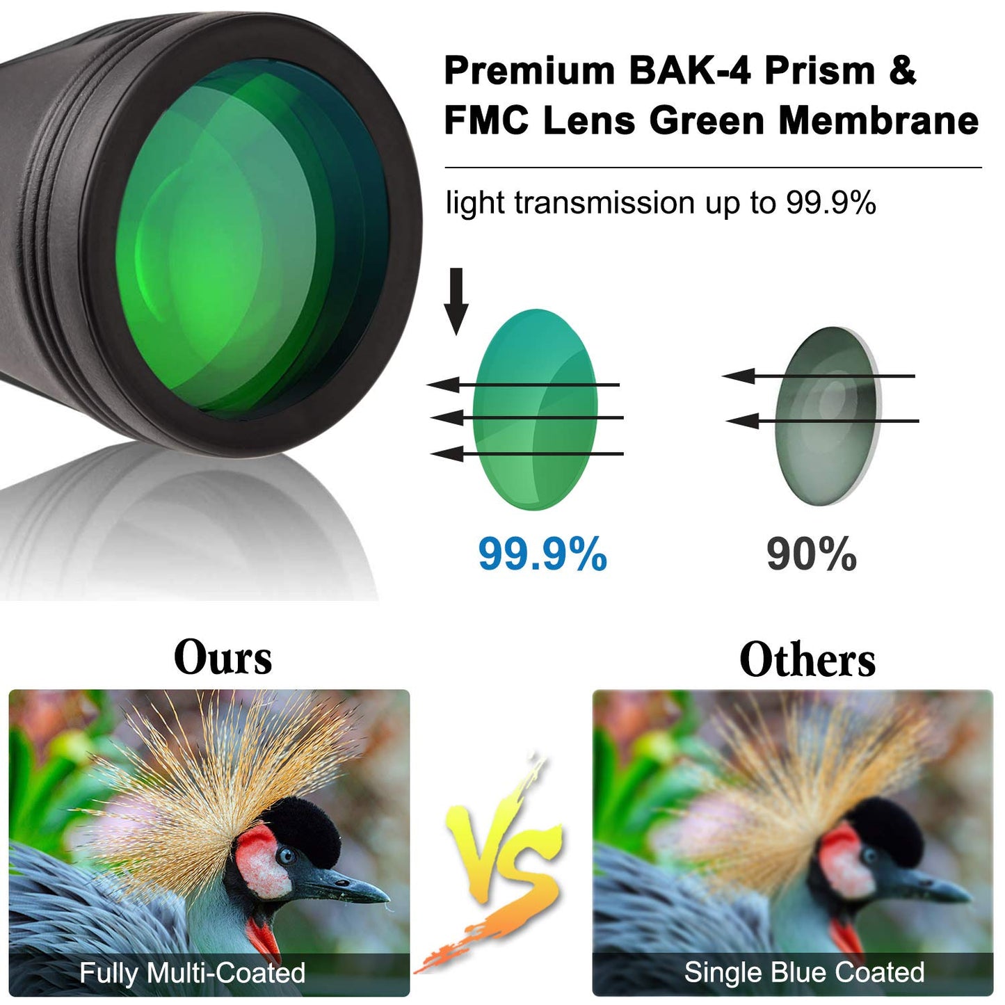 LANDVIEW 20x50 High Power Binoculars for Adults with Smartphone Adapter, HD Professional/Daily Waterproof Compact Binoculars for Bird Watching Hiking Concert Travel with BAK4 Prism FMC Lens, Black