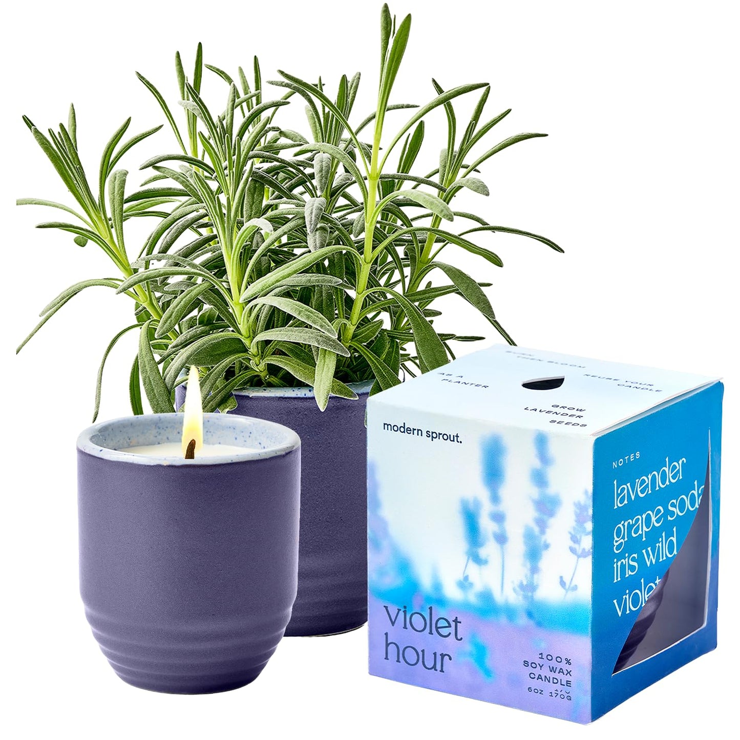 Modern Sprout - 2-in-1 Soy Candle & Planter - Violet Hour (Lavender, Grape Soda, Wild Iris, Violet) 6 Oz Scented Candle w/Lavender Seeds - Ceramic Vessel Dual Purpose Jar - 38-40 Hour Burn