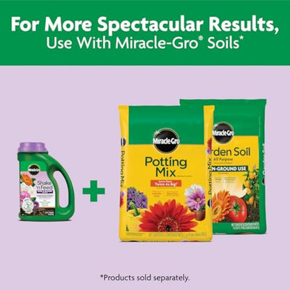 Miracle-Gro Shake 'n Feed Rose & Bloom Plant Food - Long-Lasting Granular Fertilizer, Feeds 3 Months - 4.5 lbs.