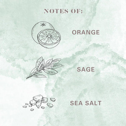 Frosted Scented 2 Wick Candles AW (Cleanse (Fresh Orange + Sage Leaf + Sea Salt))