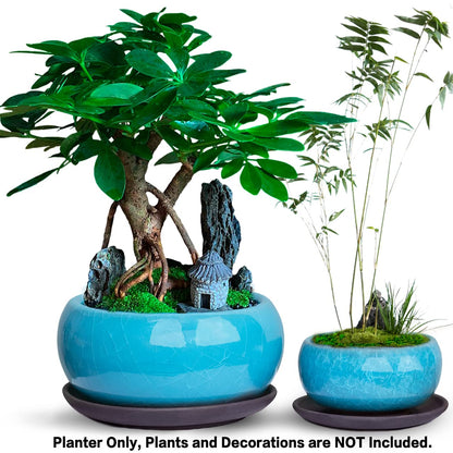 Dahlia Round Ceramic Succulent Pot/Bonsai Pot with Drainage Tray, 2pc Set Teal