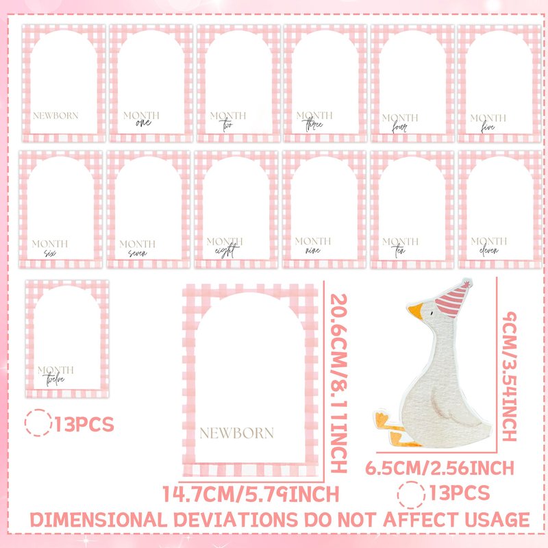 Pink One Silly Goose Photo Banner Silly Goose 1st Birthday Decor Girl for Newborn to 12 Months Picture Banner Goose First Birthday Party Supplies Monthly Milestones Frame