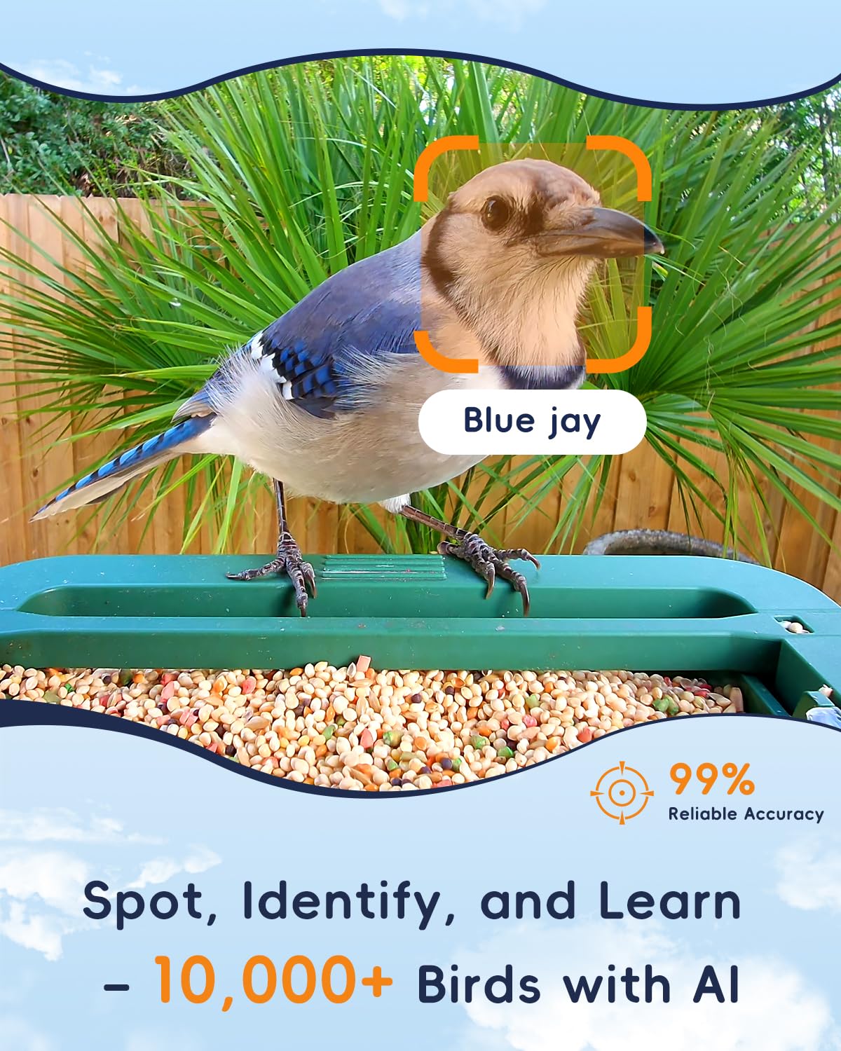 WingHome Bird Feeder with Camera, 32MP Photos & 4K Video with Live View, 5GHz/2.4GHz WiFi, AI Identify Birds Species and Instant Arrival Alerts for Bird Lovers
