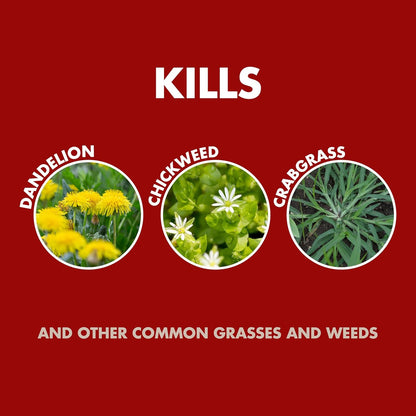 Spectracide Weed Killer Concentrate - 40 Ounces for Patios, Walkways & Driveways