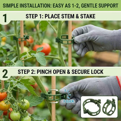 Skiennix Plant Support Clips - 50 Reusable Plastic Garden Clips for Climbing Plants | Green