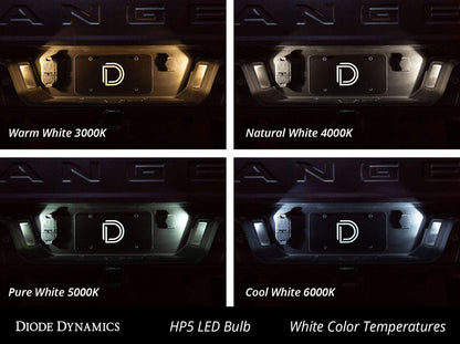 Diode Dynamics 194 HP5 LED Bulbs, Amber, Pair, Model DD0025P