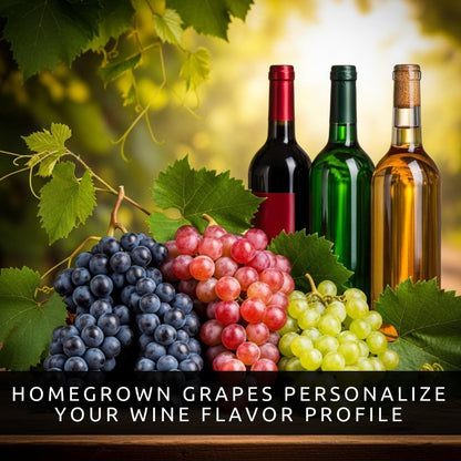 9 Live Grape Vine Seedlings – Concord (Purple), White, and Red Grapes – 3 of Each Variety – Easy to Grow Fruit Plants for Garden, Vineyard, Trellis, or Fence