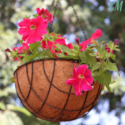 Y&M 14" Round Coconut Fiber Liner - Pre-Formed Replacement for Hanging Baskets | 2-Pack