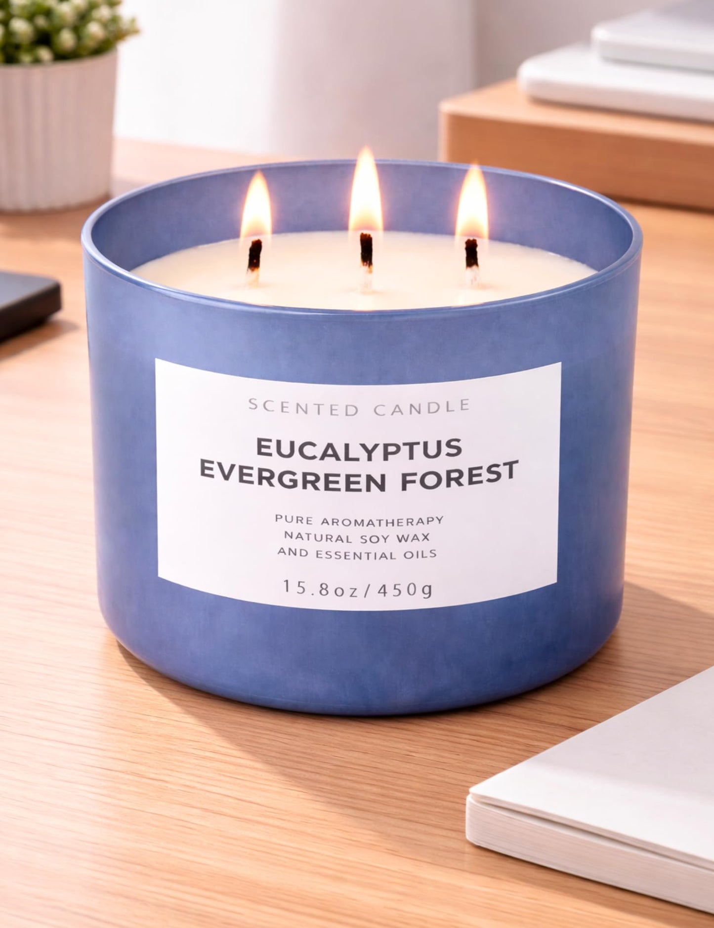 Eucalyptus Evergreen Forest 3-Wick Soy Candle | 15.8 oz Large Scented Candle for Home | Clean Burn Long Lasting | Balsam Fir Fresh Forest Scent | Gift Ready